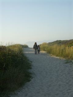 The Path to Wellness
